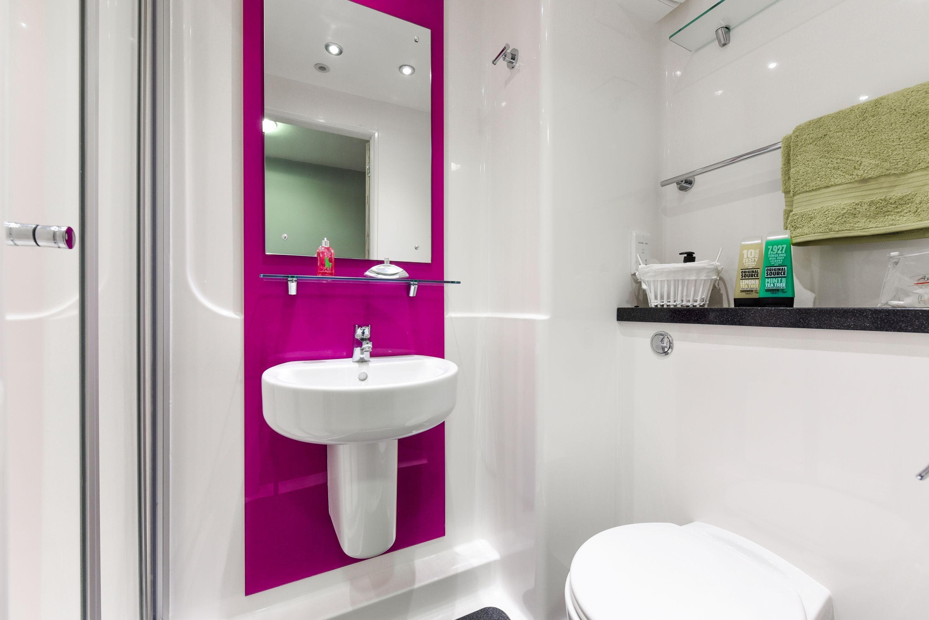 Tramways-ensuite-silver-3