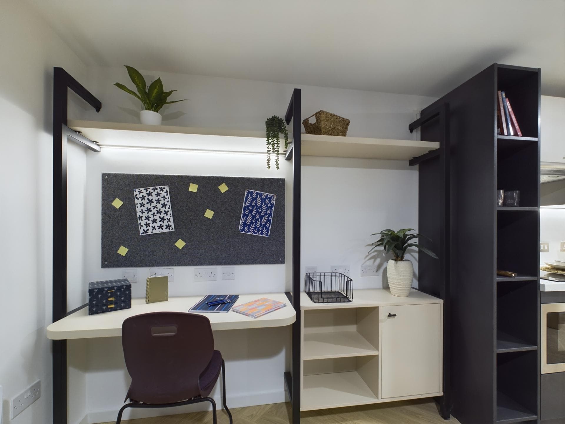 8818805.jpg