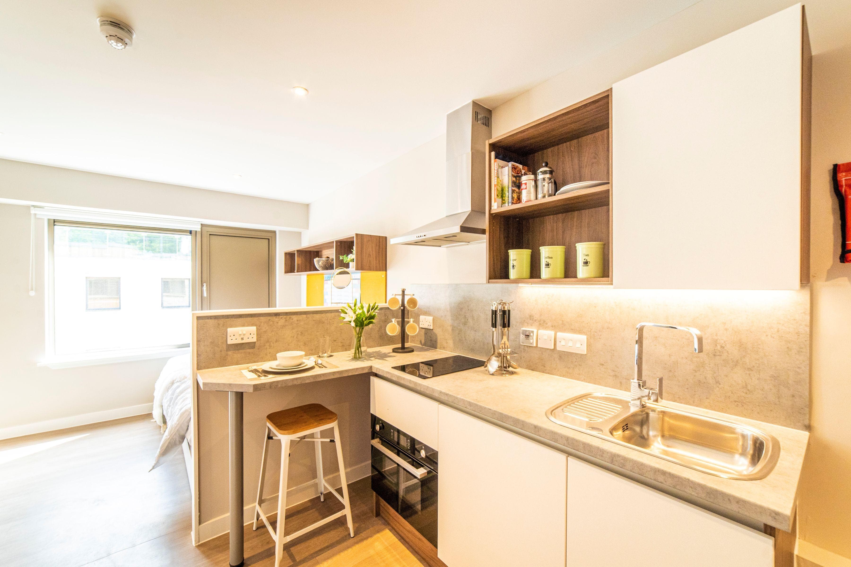 Brewers-Court-Silver-Studio-South-Facing-4
