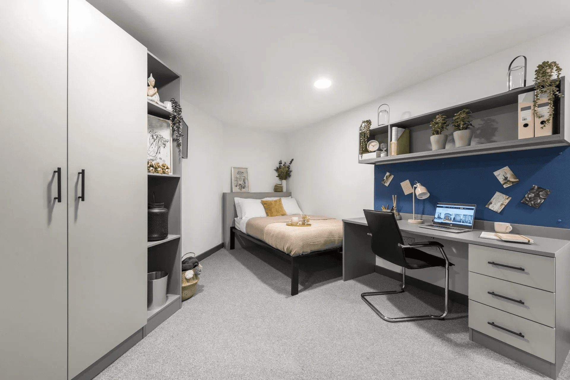 Image 15