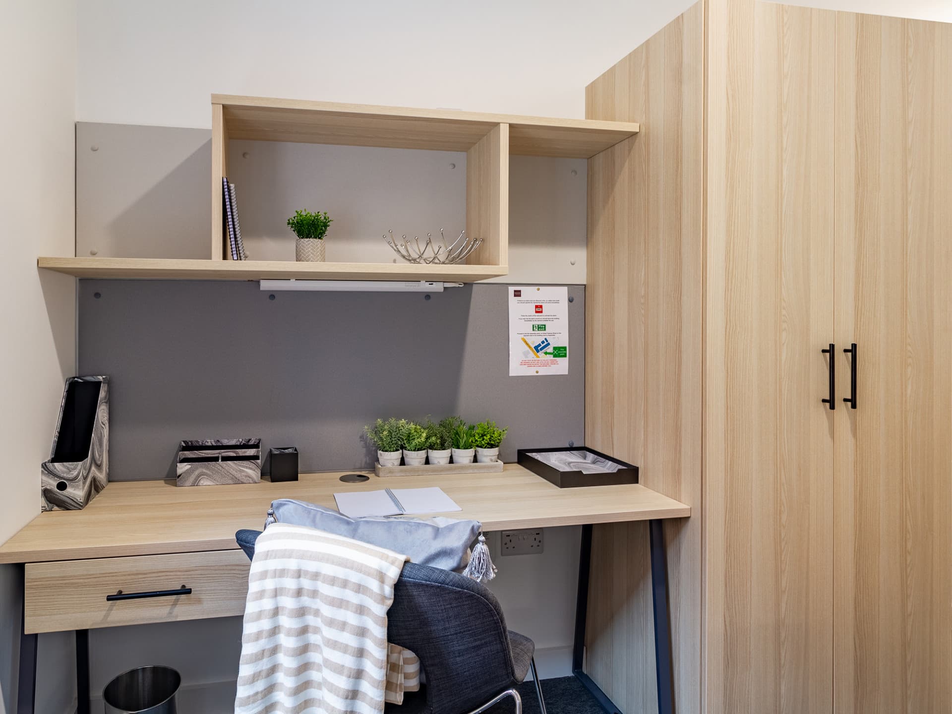 7582204.jpg