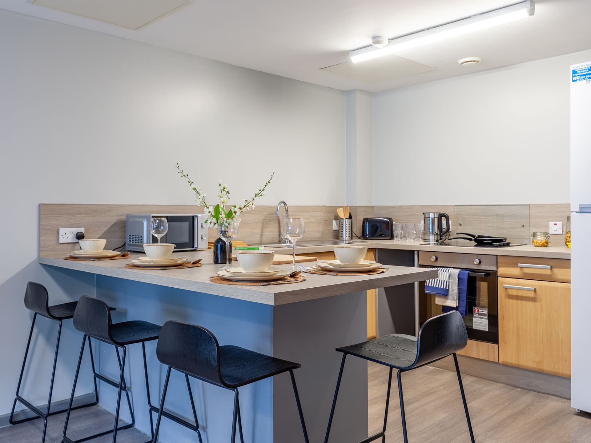 8126341.jpg