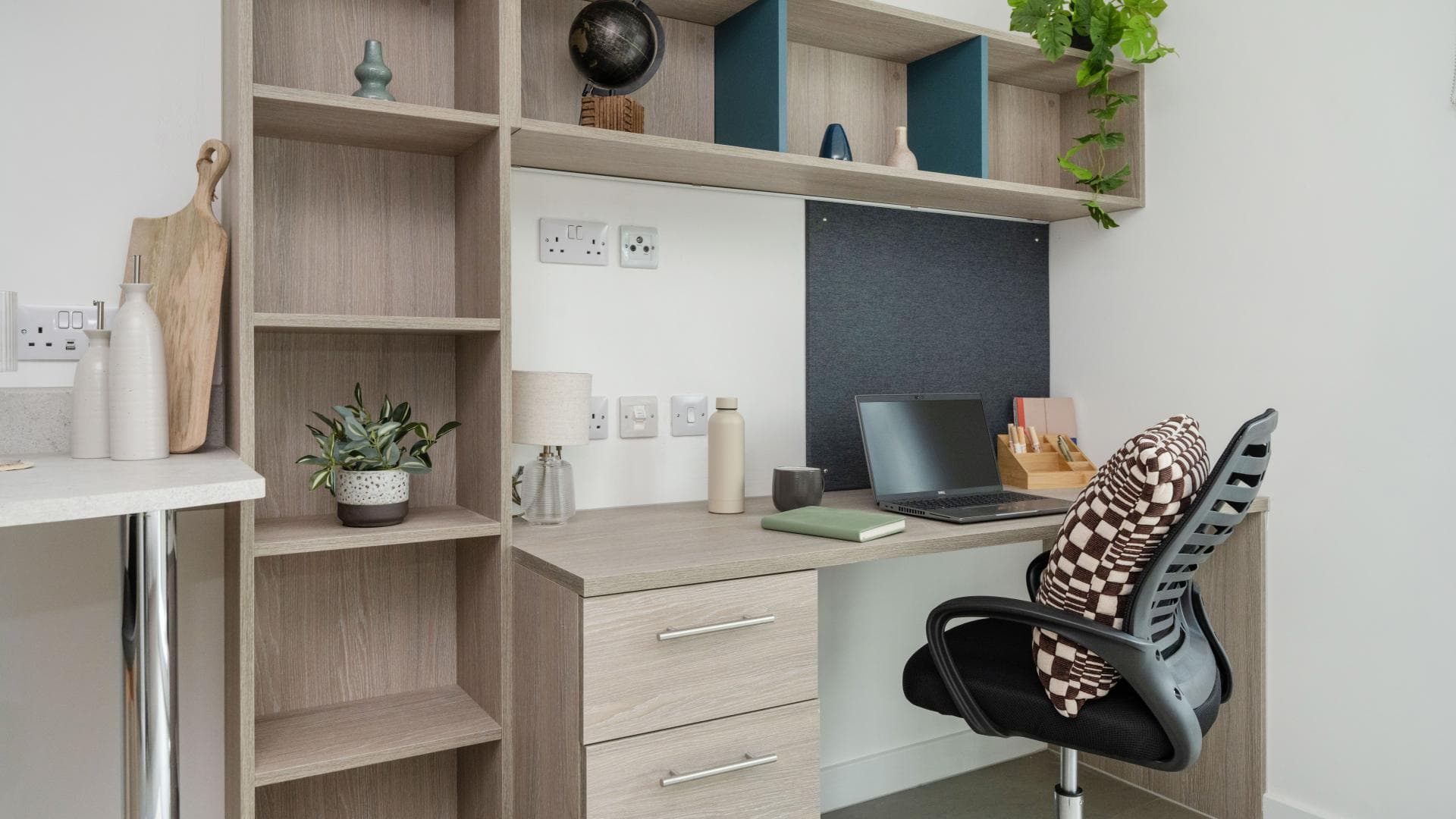 9683187.jpg