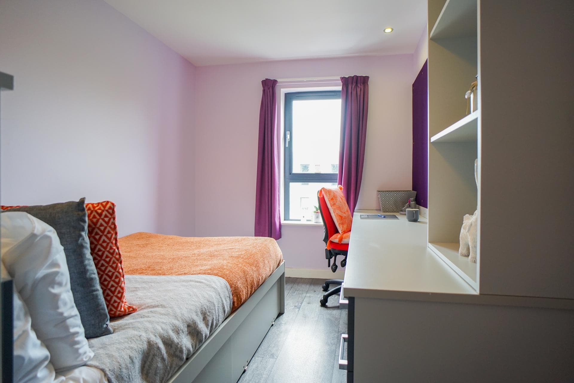 9604493.jpg