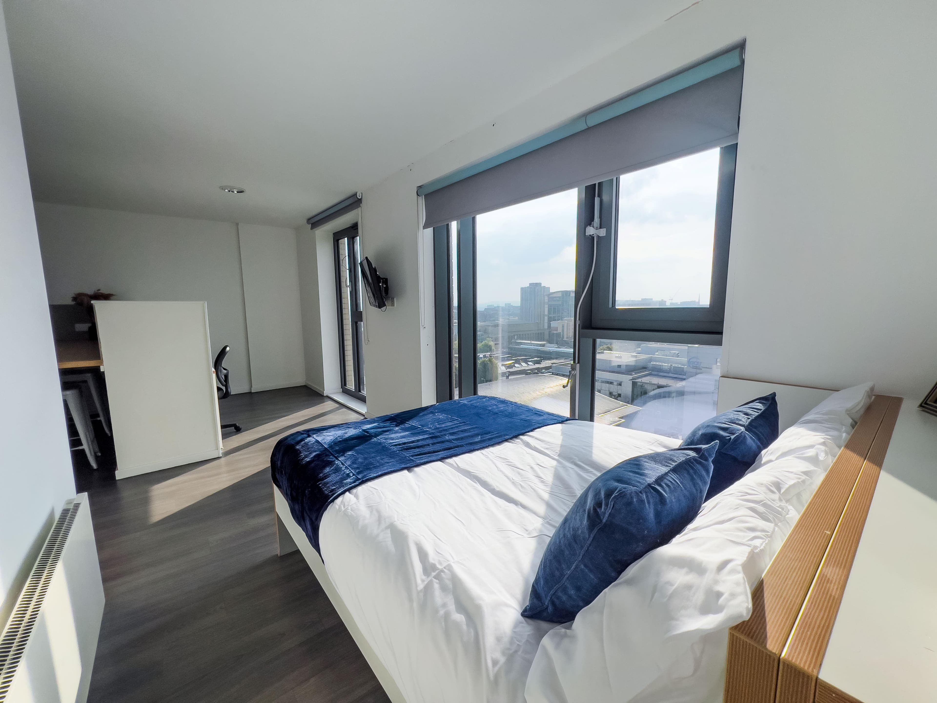 Dobbies-Point-Studio-Platinum-3