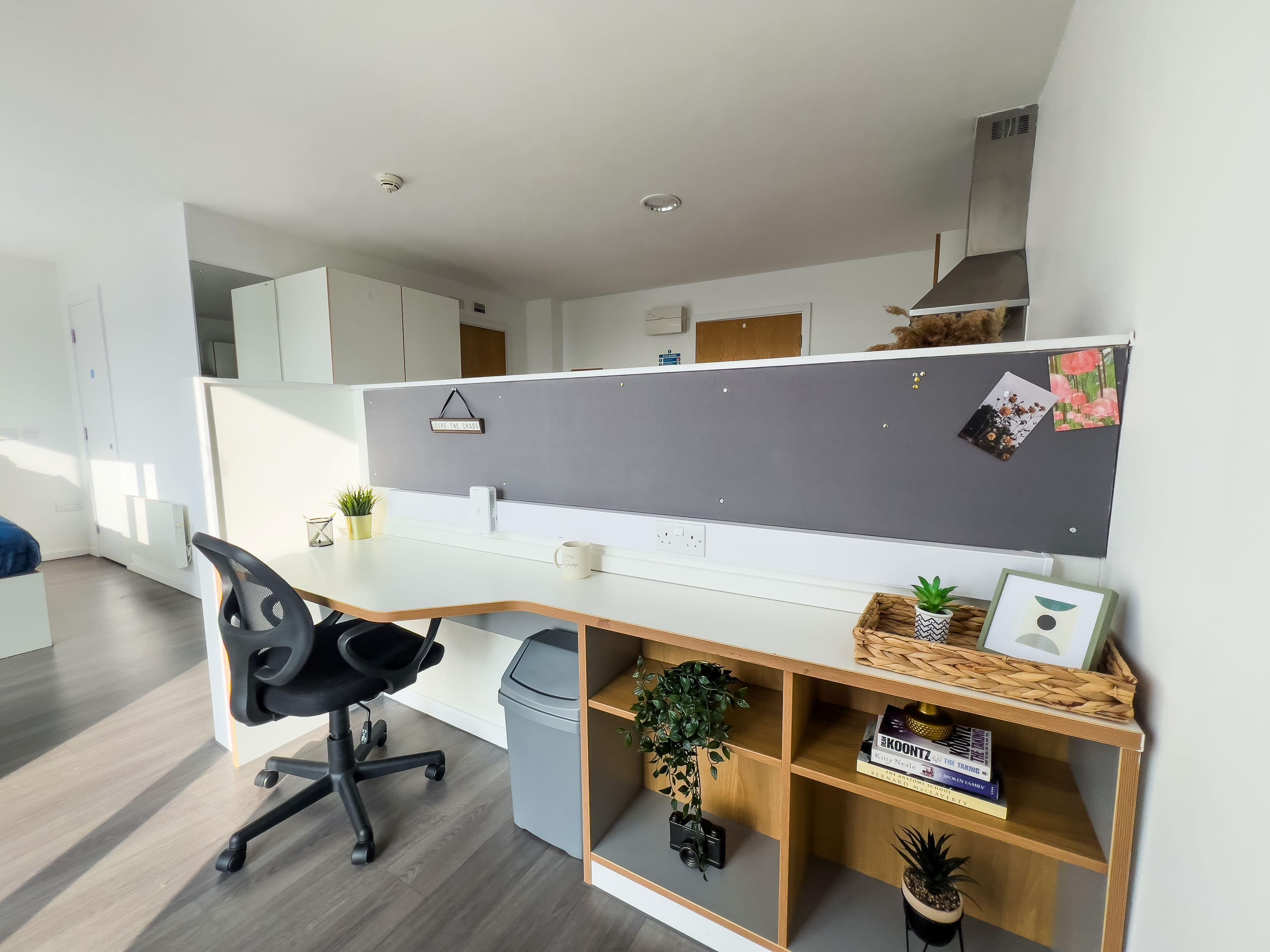 Dobbies-Point-Studio-Platinum-study-area-2