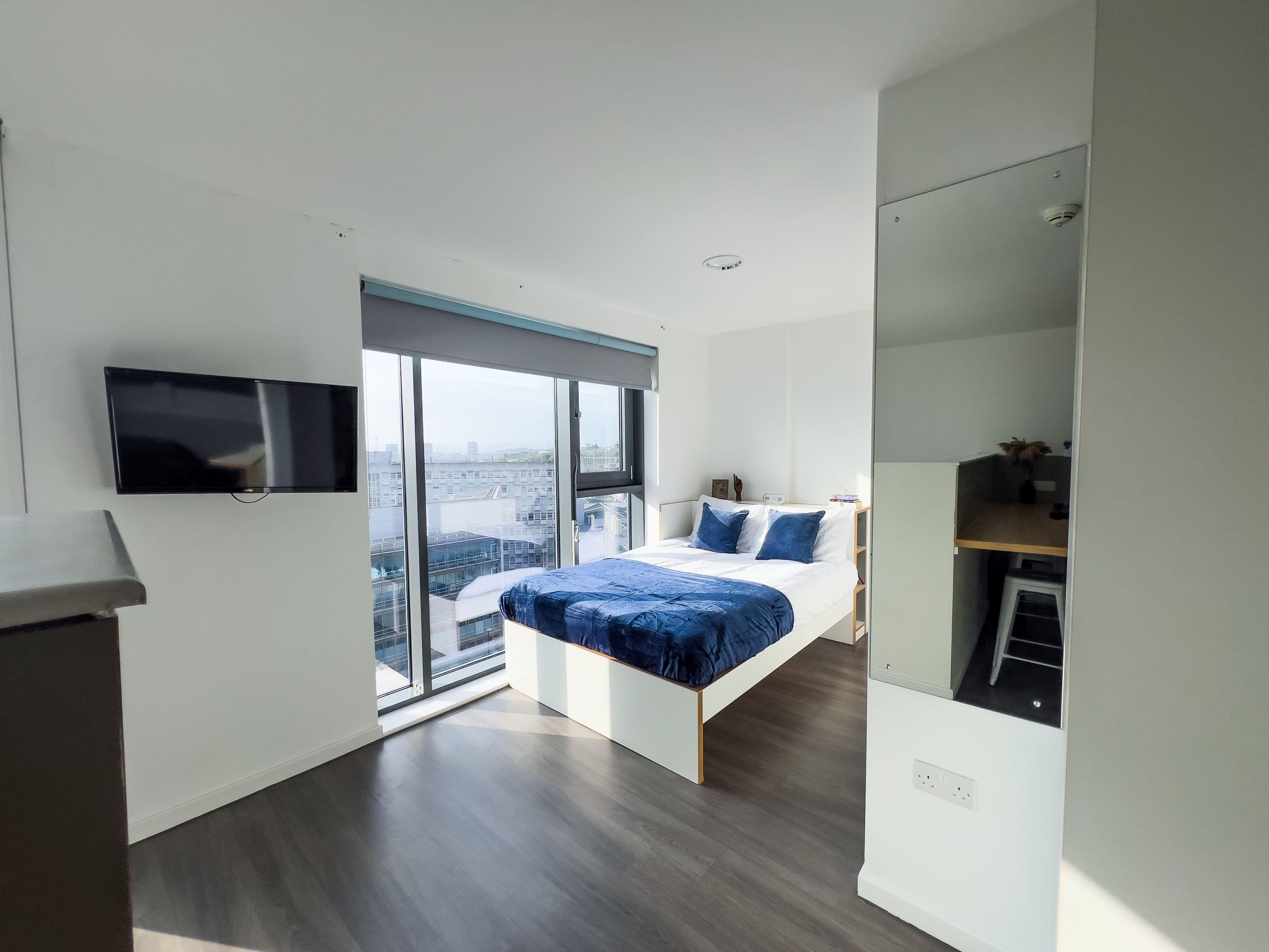 Dobbies-Point-Studio-Platinum