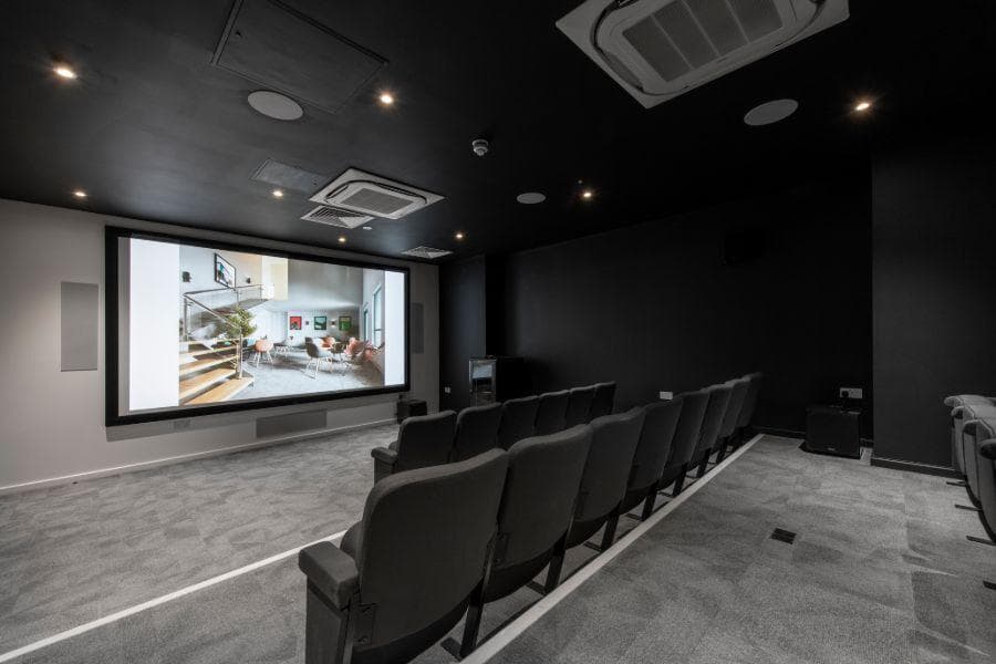 Hollis-cinema-2