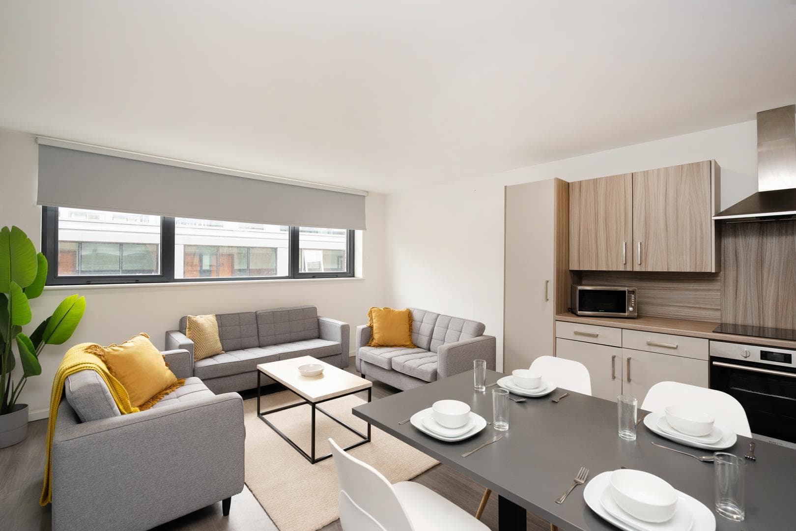 Shared-kitchen-4