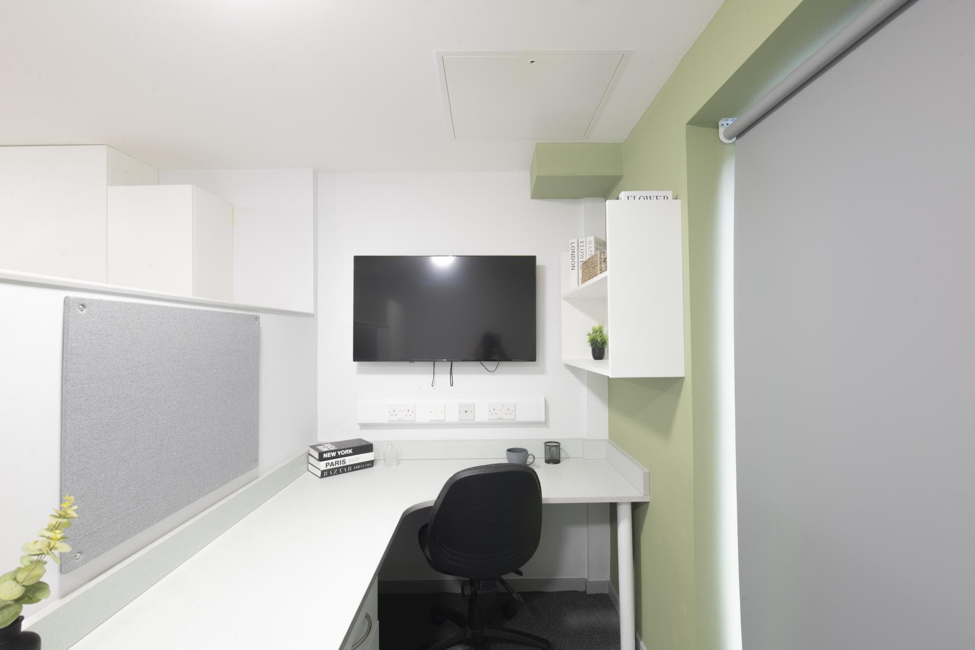 Image 4
