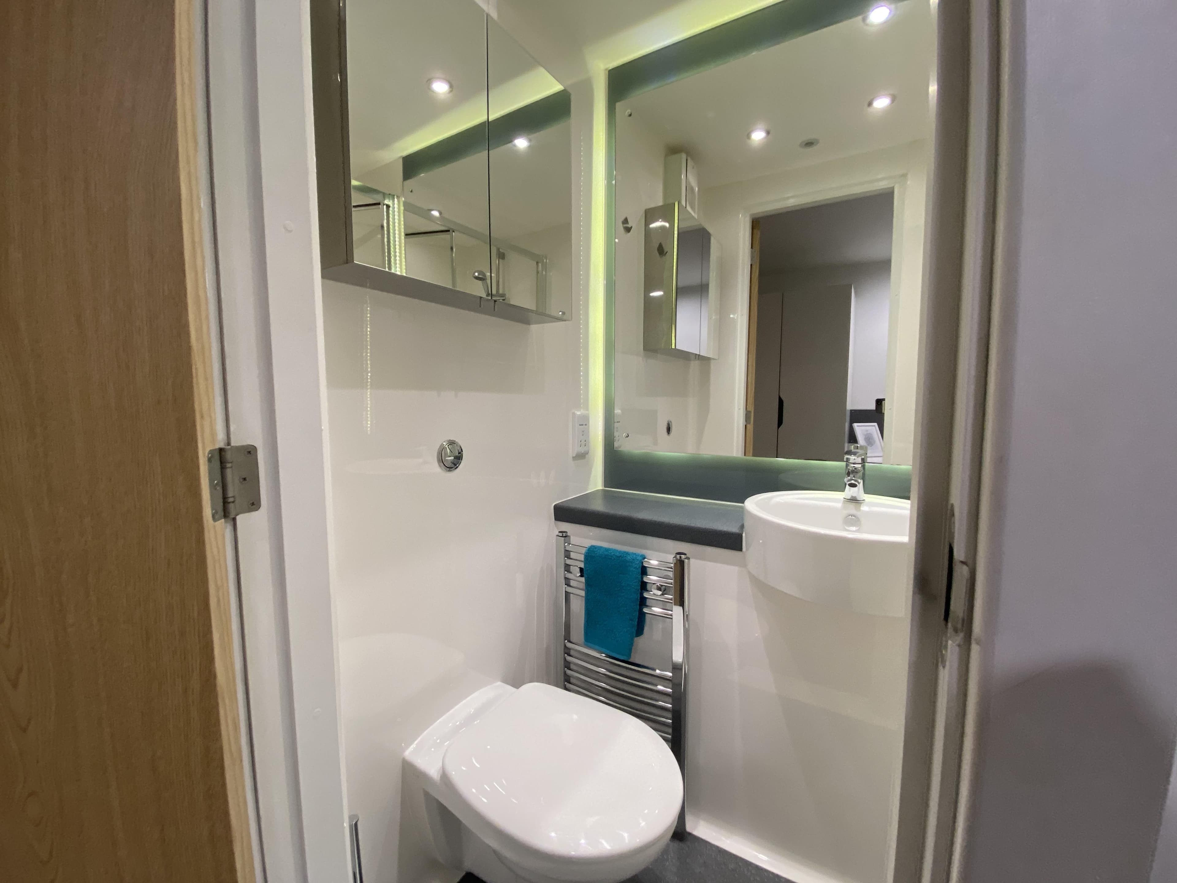 Bathroom-Landscape_2020-10-30-133655